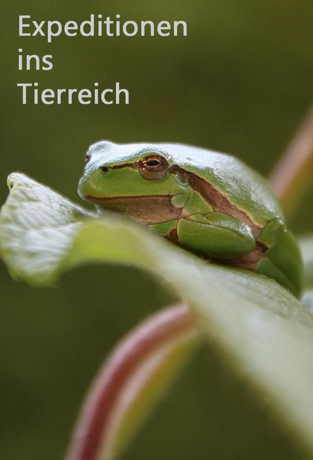 Expeditions Into The Animal Kingdom