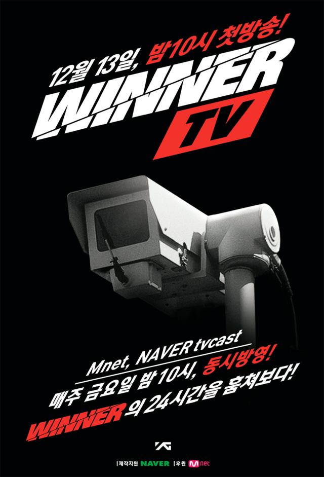 WINNER TV