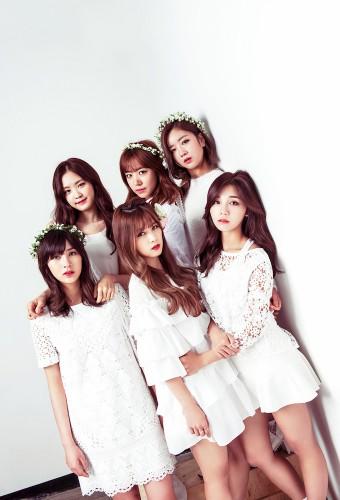 Apink News