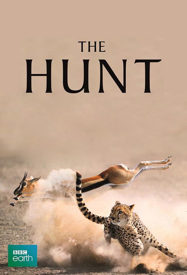 The Hunt