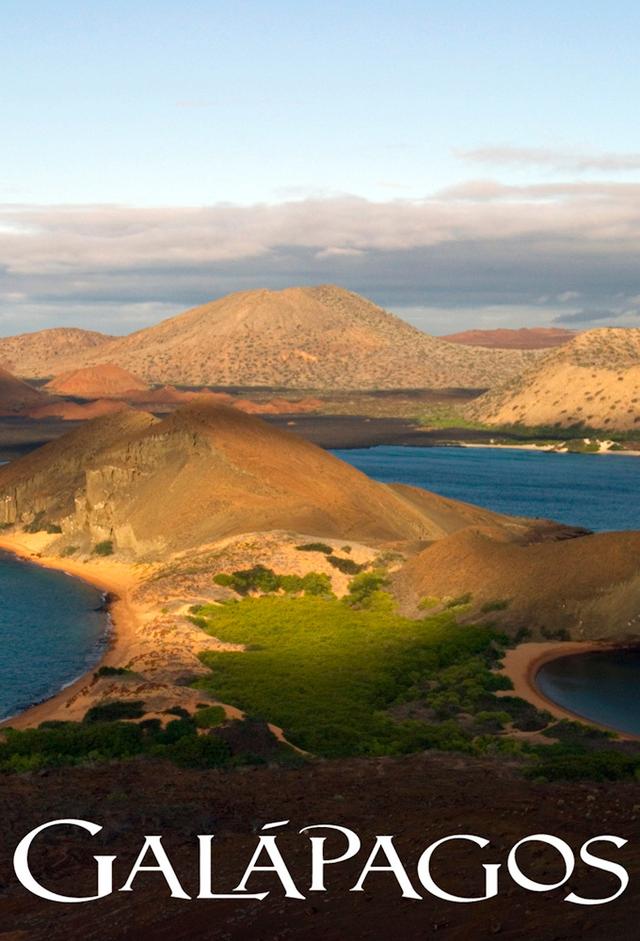 Expedition Galapagos – Rettet das Paradies
