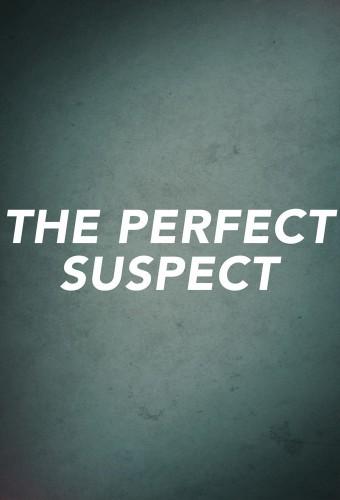 The Perfect Suspect