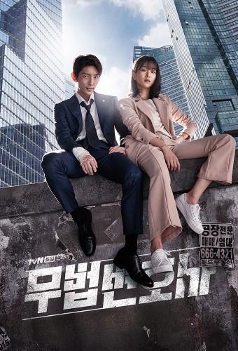 Lawless Lawyer