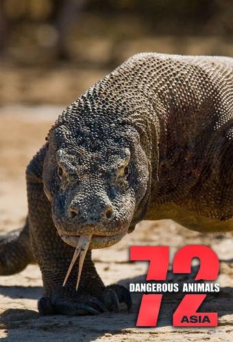 72 Dangerous Animals: Asia