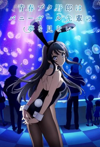 Rascal Does Not Dream of Bunny Girl Senpai