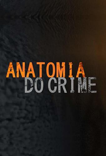Crime's Anatomy