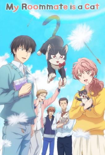 My Roommate Is a Cat