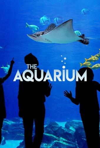 The Aquarium