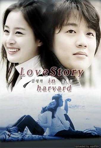 Love Story in Harvard