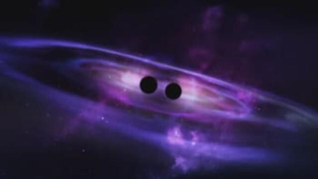 Black Holes: The Secret Origin