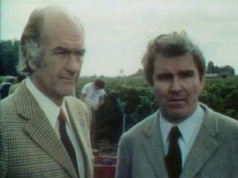 Rouges sont les vendanges