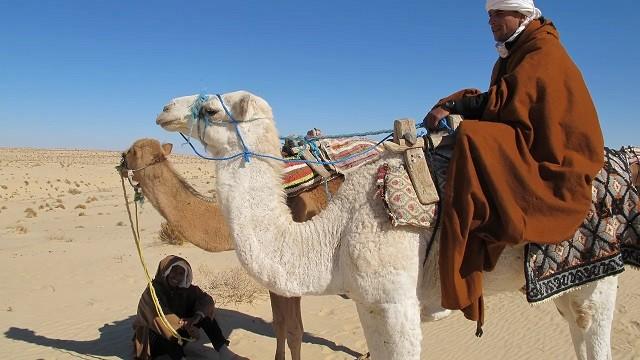 Bardo National Museum - Tunisia