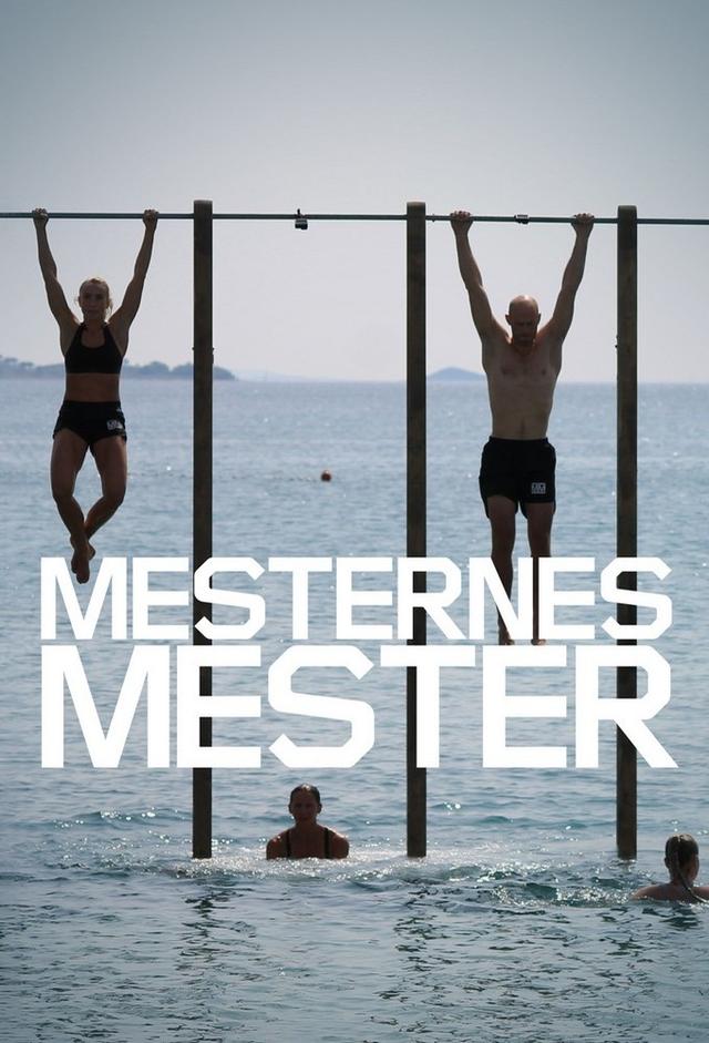 Mesternes Mester