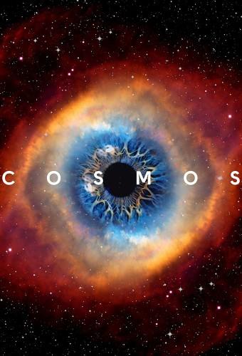 Cosmos (2014)