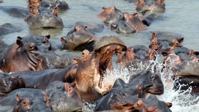 Sambia - Im wilden Herzen Afrikas