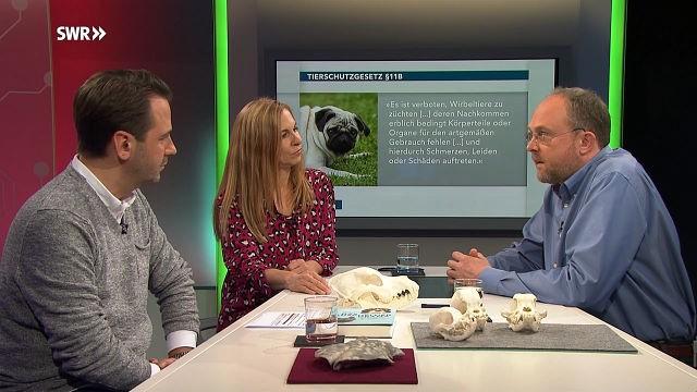 Unsere Haustiere – Geliebt und gequält