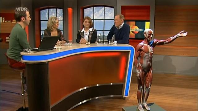 Muskeln – Mehr als nur stark!