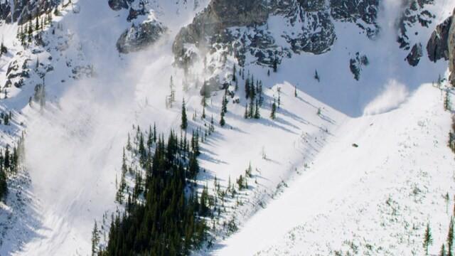 Au coeur de l'avalanche