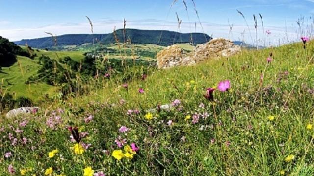 Wildes Deutschland – Die Schwäbische Alb