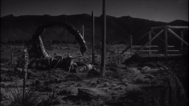 The Black Scorpion