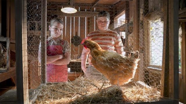 A Live Chicken, a Fried Chicken, and Holy Matrimony