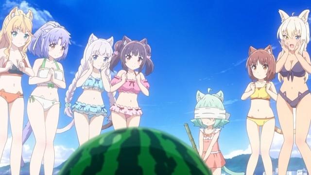 Summer Beach Cat Paradise!