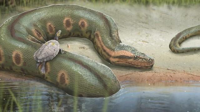 How a Hot Planet Created the World's Biggest Snake