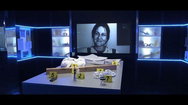 Une étrange pendaison : l'affaire Chantal Ternik
