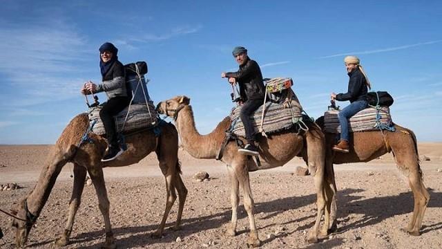 Gordon, Gino and Fred: Christmas Road Trip - Three Unwise Men