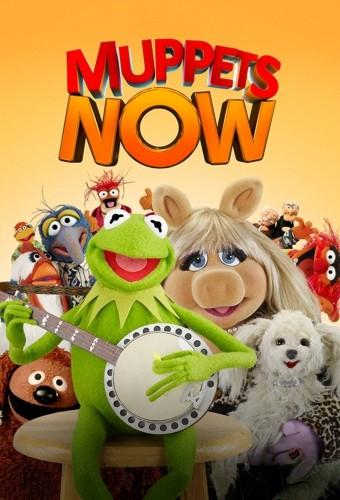 Muppets Now