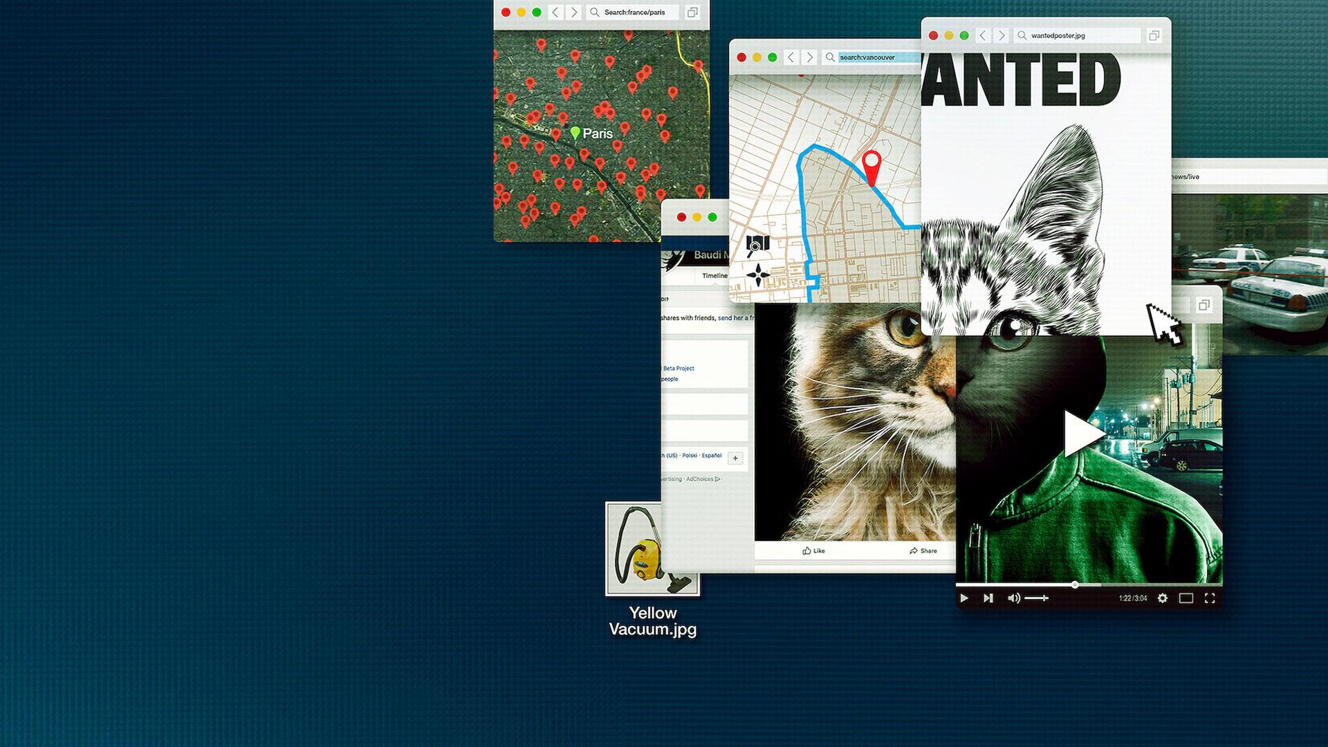 Don't F**k with Cats: Hunting an Internet Killer