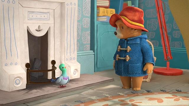 Paddington Finds a Pigeon