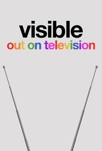 Visible: Out on Television