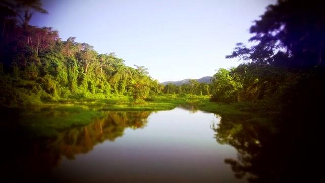 The Amazon's Cursed Ruins