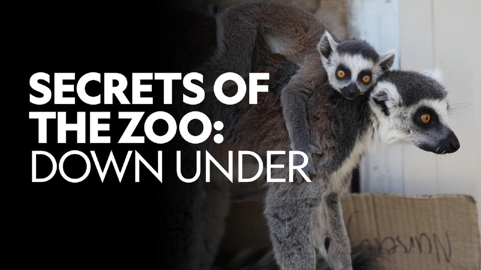 Secrets of the Zoo: Down Under