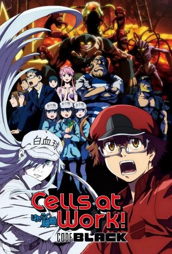 Cells at Work! Code Black
