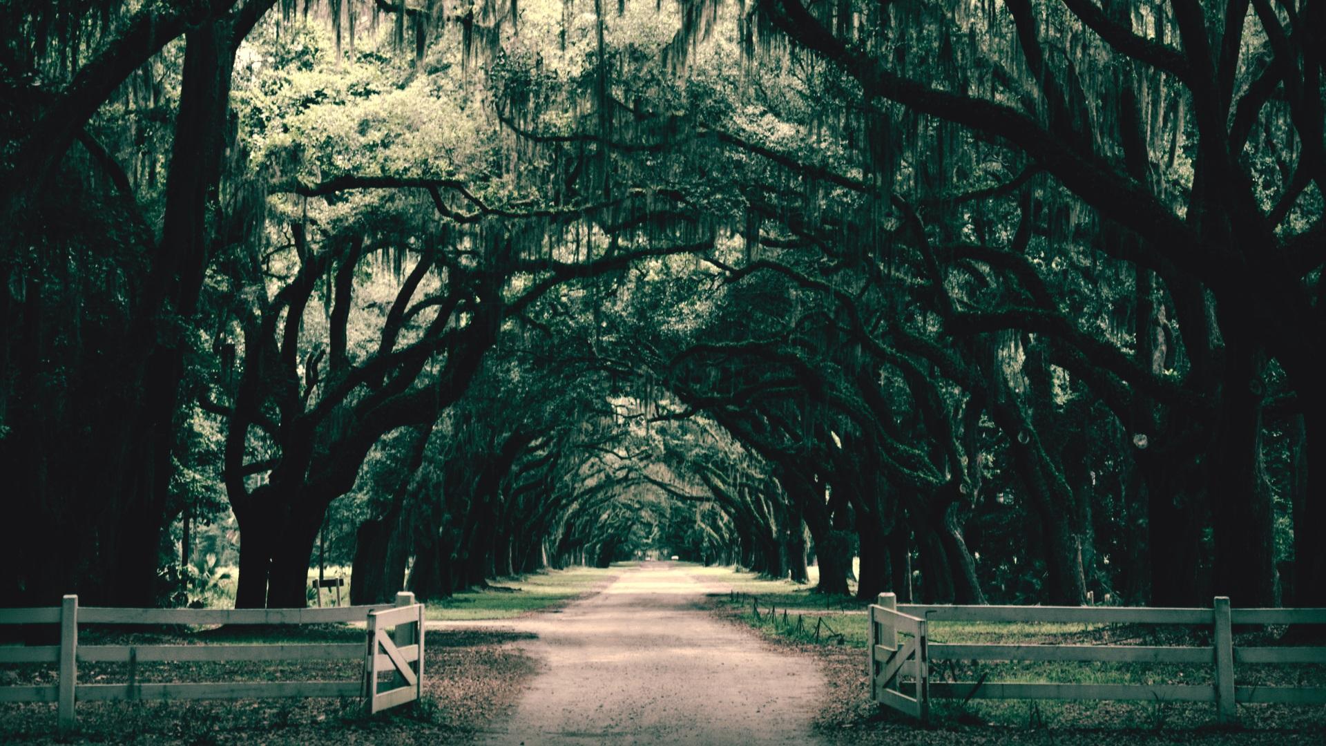 Southern Gothic