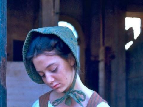 The Goose Girl