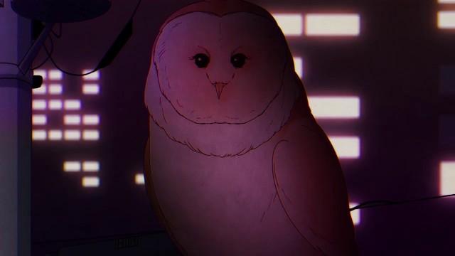 Owl