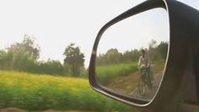 Voices Under The Mango Tree