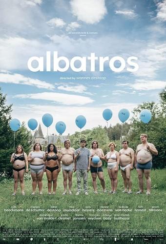 Albatross