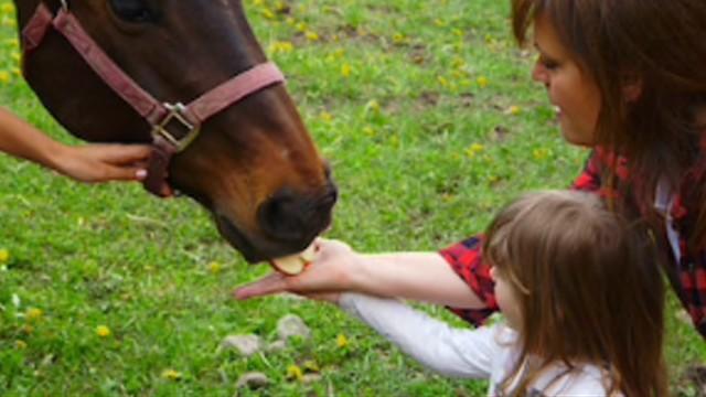 Le décompte est commencé…