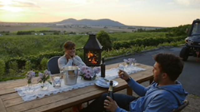 Les abeilles et les amis travaillent fort