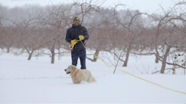 Des projets, toujours des projets!