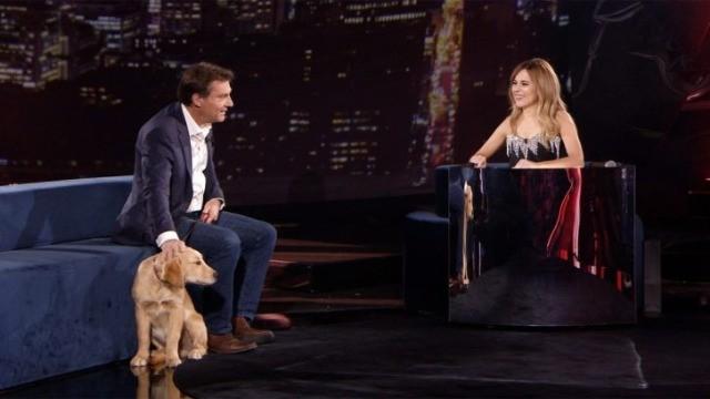 Patrice Roy et son fils Émile, Charles Dubois, Olivier Niquet et Yannick Bergeron