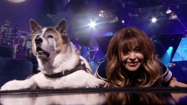 Émile Roy, Meeker Guerrier, Olivier Brett, Daphnée Malboeuf, Marie-Lyne Joncas et Damien Robitaille