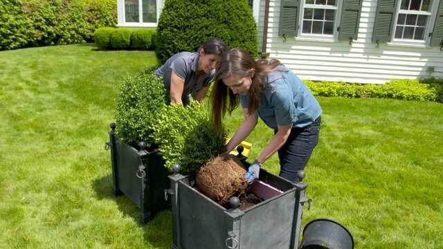 Ductless Humidifier, Planters