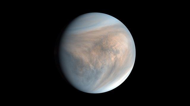 Life on Venus