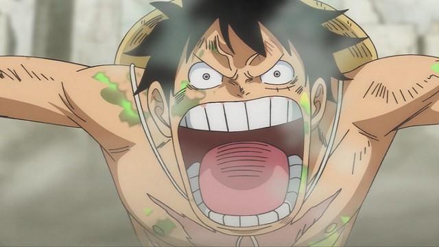 We're Here to Win! Luffy's Desperate Scream!