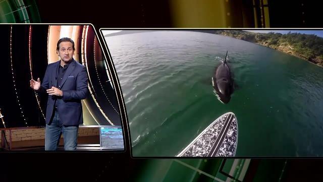 El regreso de las orcas – Fieles compañeros – El enigma de los agujeros negros – El "Von Braun español"